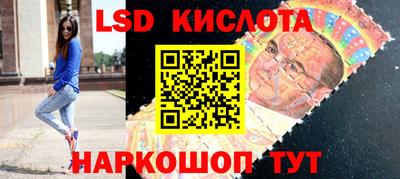 гидра Будённовск