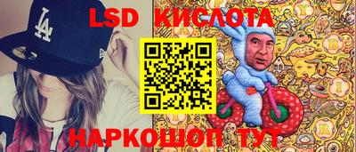 гидра Будённовск