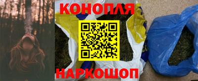 сатива Бузулук