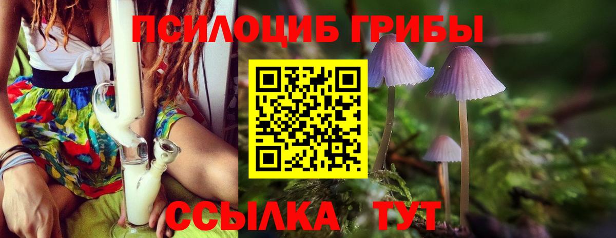 цена   Вход с VPN  Туапсе  Псилоцибиновые грибы Magic Shrooms 